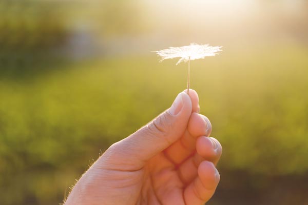 Hand with flower